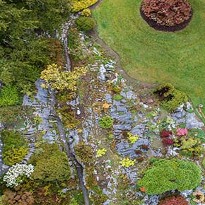 Rock garden