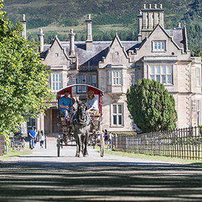 jaunting car at Muckross house