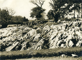 Image of Rock garden