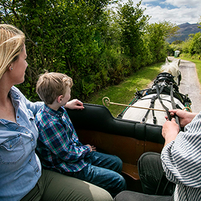 Muckross Traditional Farms