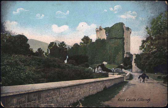 Ross Castle, Killarney