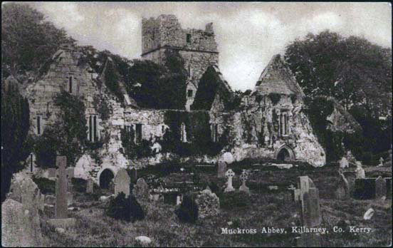 Muckross Abbey, Killarney